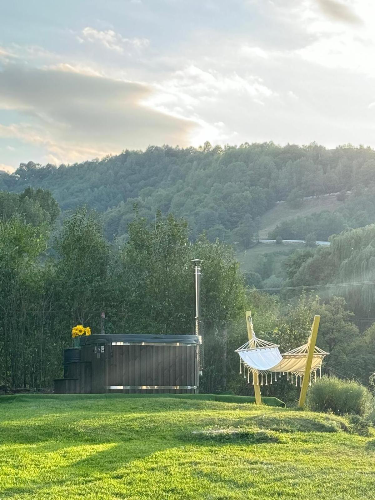 Rdt Guest House-Rai Din Transilvania Moieciu de Jos Dış mekan fotoğraf